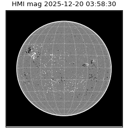 shmi - 2025-12-20T03:58:30