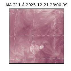 saia - 2025-12-21T23:00:09.626000