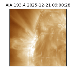 saia - 2025-12-21T09:00:28.847000