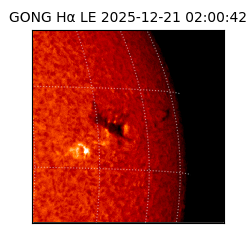 gong - 2025-12-21T02:00:42
