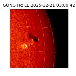 gong - 2025-12-21T03:00:42