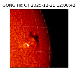 gong - 2025-12-21T12:00:42