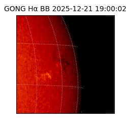 gong - 2025-12-21T19:00:02