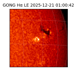 gong - 2025-12-21T01:00:42