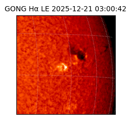 gong - 2025-12-21T03:00:42