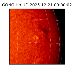 gong - 2025-12-21T09:00:02