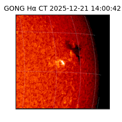 gong - 2025-12-21T14:00:42