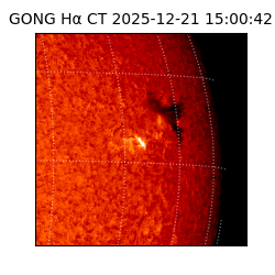gong - 2025-12-21T15:00:42