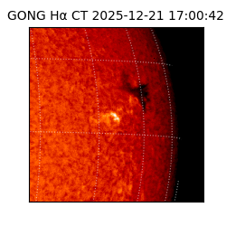 gong - 2025-12-21T17:00:42