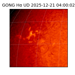 gong - 2025-12-21T04:00:02