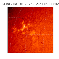 gong - 2025-12-21T09:00:02