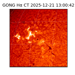gong - 2025-12-21T13:00:42