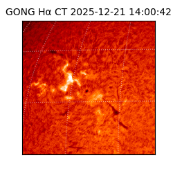 gong - 2025-12-21T14:00:42