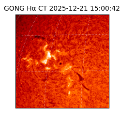 gong - 2025-12-21T15:00:42