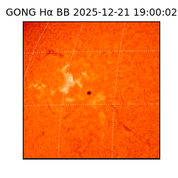 gong - 2025-12-21T19:00:02