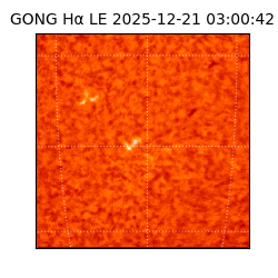 gong - 2025-12-21T03:00:42