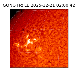 gong - 2025-12-21T02:00:42