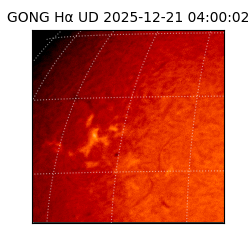 gong - 2025-12-21T04:00:02