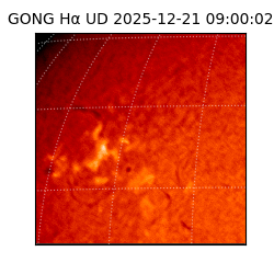 gong - 2025-12-21T09:00:02