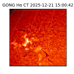 gong - 2025-12-21T15:00:42