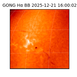 gong - 2025-12-21T16:00:02