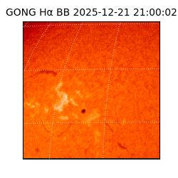 gong - 2025-12-21T21:00:02