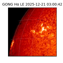 gong - 2025-12-21T03:00:42