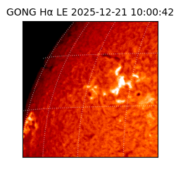 gong - 2025-12-21T10:00:42
