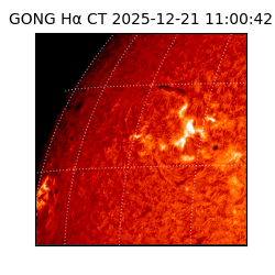 gong - 2025-12-21T11:00:42