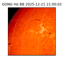 gong - 2025-12-21T21:00:02