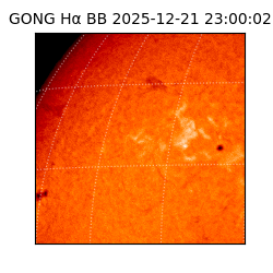 gong - 2025-12-21T23:00:02