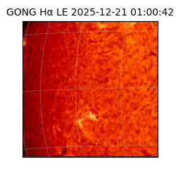 gong - 2025-12-21T01:00:42