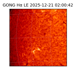 gong - 2025-12-21T02:00:42