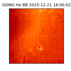 gong - 2025-12-21T16:00:02