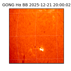 gong - 2025-12-21T20:00:02