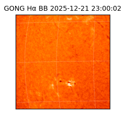 gong - 2025-12-21T23:00:02