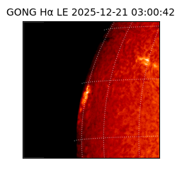 gong - 2025-12-21T03:00:42