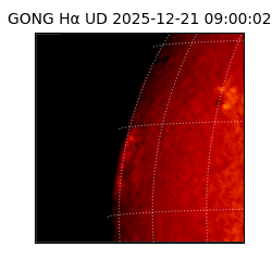 gong - 2025-12-21T09:00:02