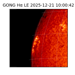 gong - 2025-12-21T10:00:42