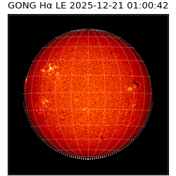 gong - 2025-12-21T01:00:42