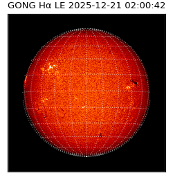 gong - 2025-12-21T02:00:42
