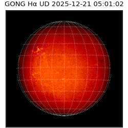 gong - 2025-12-21T05:01:02