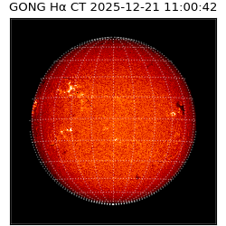 gong - 2025-12-21T11:00:42