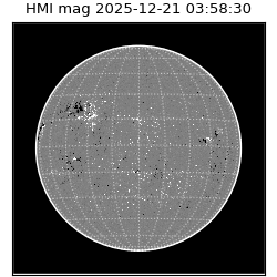 shmi - 2025-12-21T03:58:30