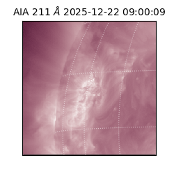 saia - 2025-12-22T09:00:09.622000