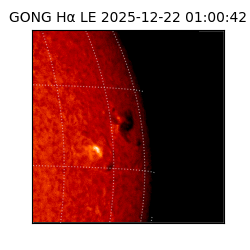 gong - 2025-12-22T01:00:42