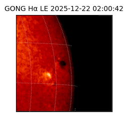 gong - 2025-12-22T02:00:42