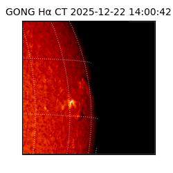 gong - 2025-12-22T14:00:42