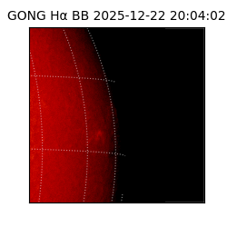 gong - 2025-12-22T20:04:02