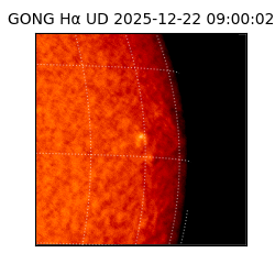 gong - 2025-12-22T09:00:02